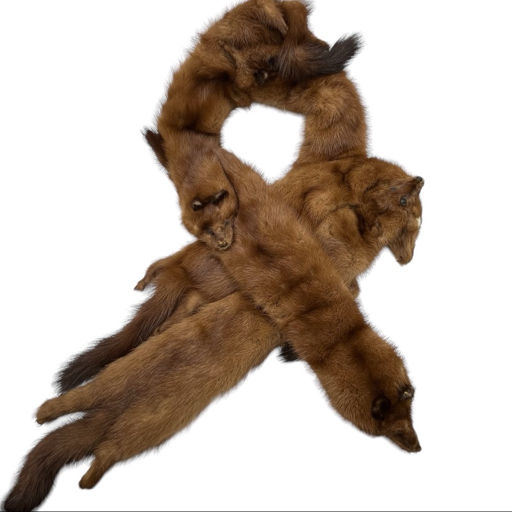 Vtg Frost Bros 4 Pelts Full Body Fur Taxidermy Collar Wrap Scarf Stole Shawl